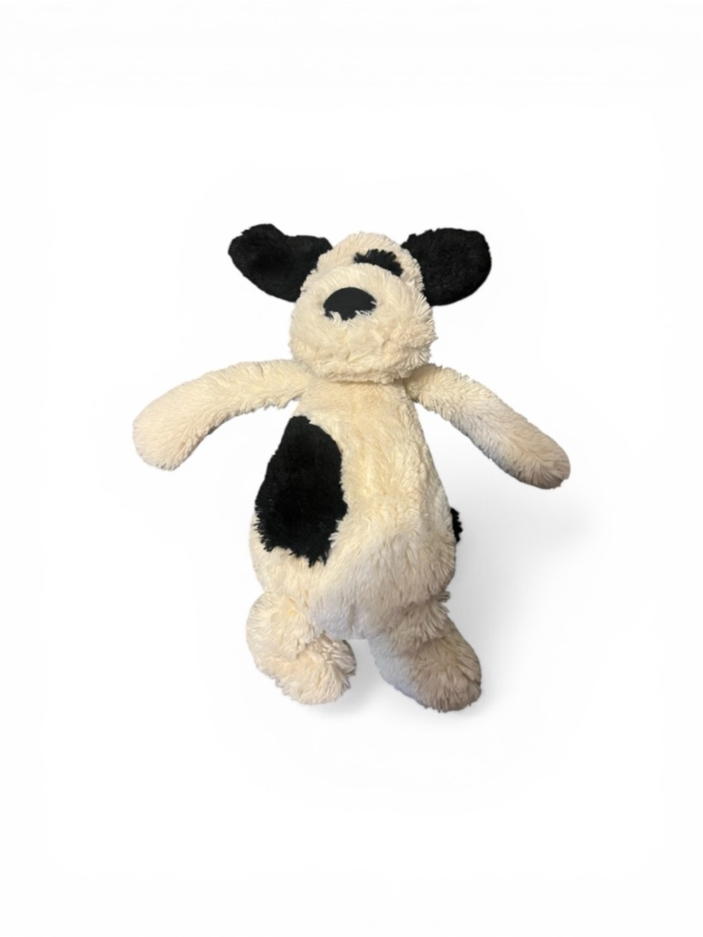 Bashful Black & Cream
Puppy - Picture 4 of 6